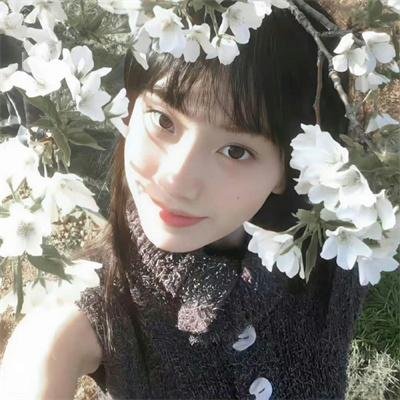 星星知我心